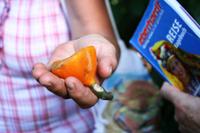 Auf der Bio Finca &ndash; &copy; Annett Müller (Eberhardt TRAVEL)